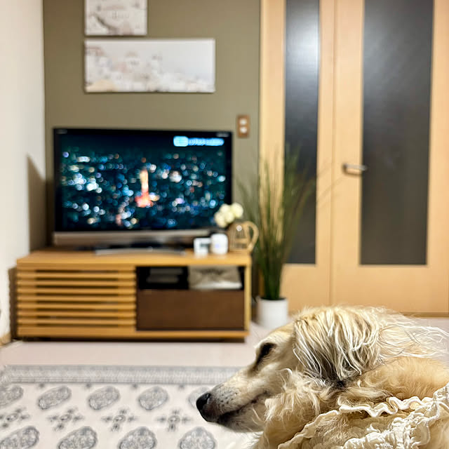 chachamamaさんの実例写真