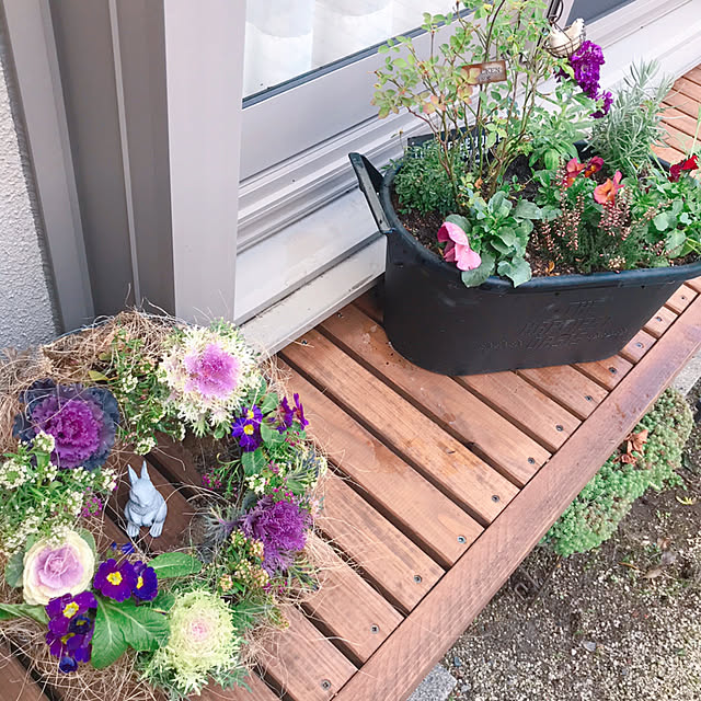 portulacaさんの実例写真