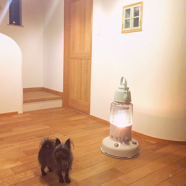 minimonさんの実例写真