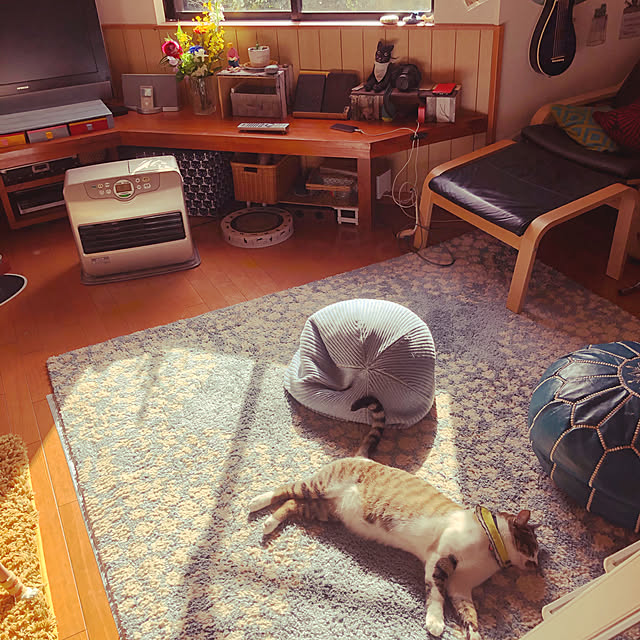 jijiさんの実例写真