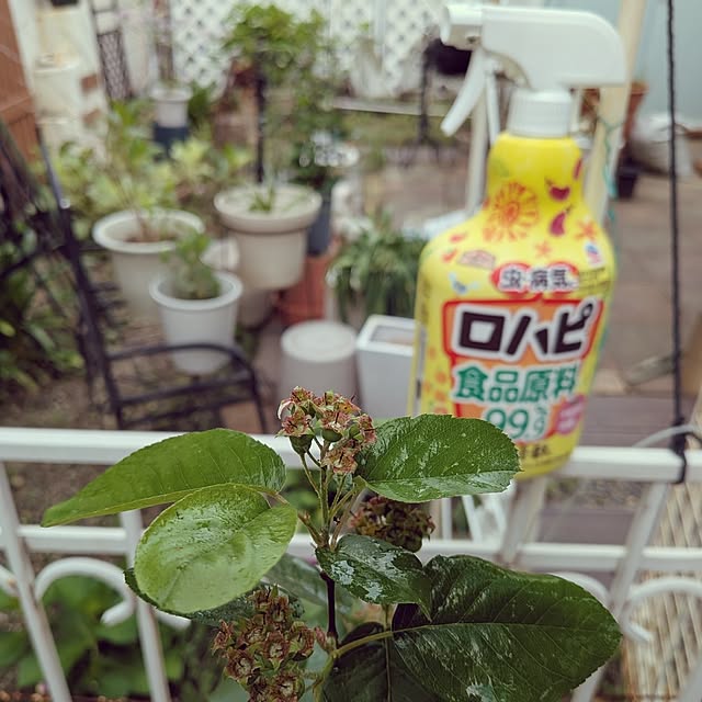 Bienvenueさんの実例写真