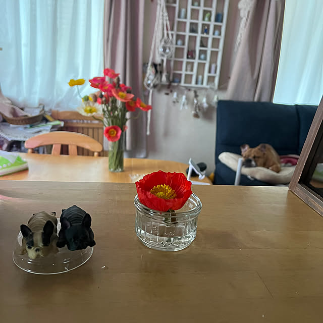 chi_gogaさんの部屋