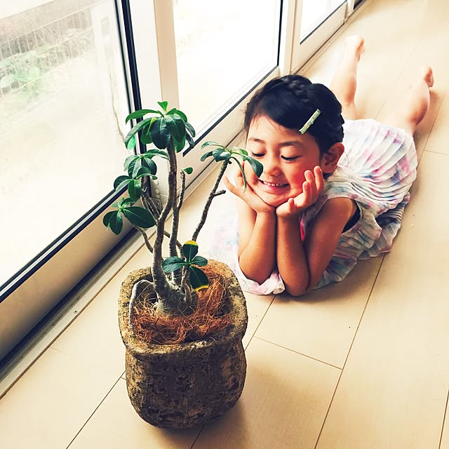 marley0209さんの実例写真