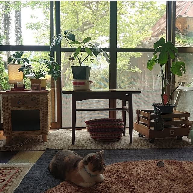 fukuさんの部屋