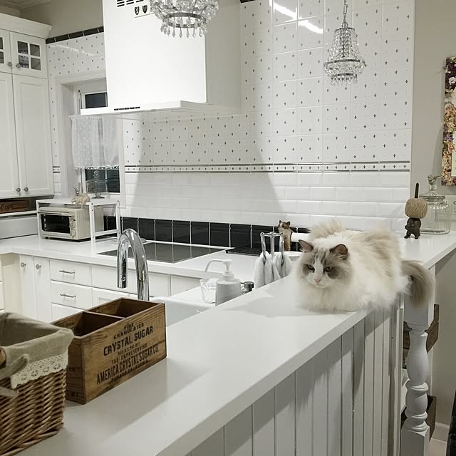 yuchiさんの実例写真