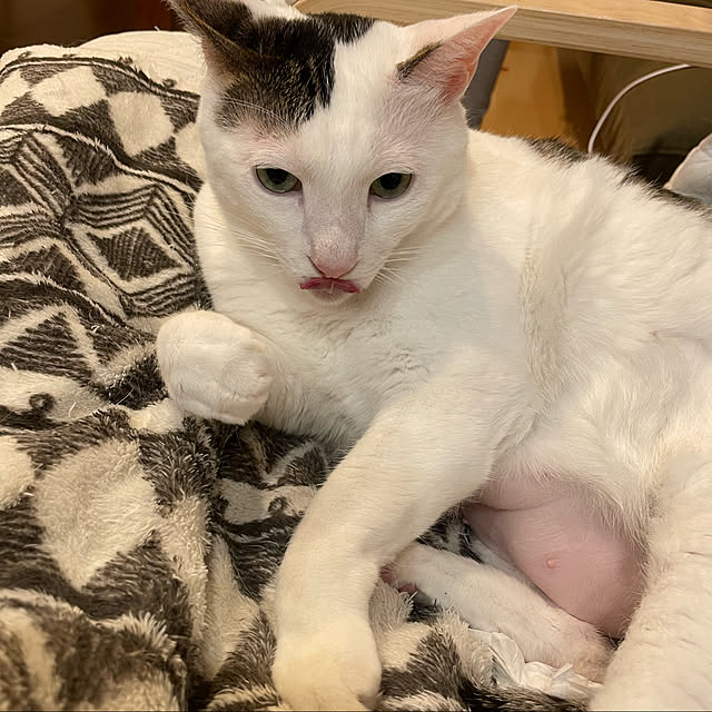 becci.comさんの実例写真