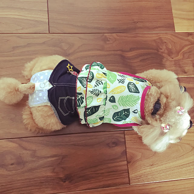 coronさんの実例写真