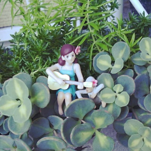akr29さんの実例写真