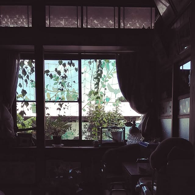 kikuさんの実例写真