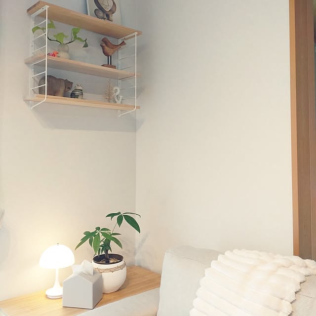 tan5さんの実例写真