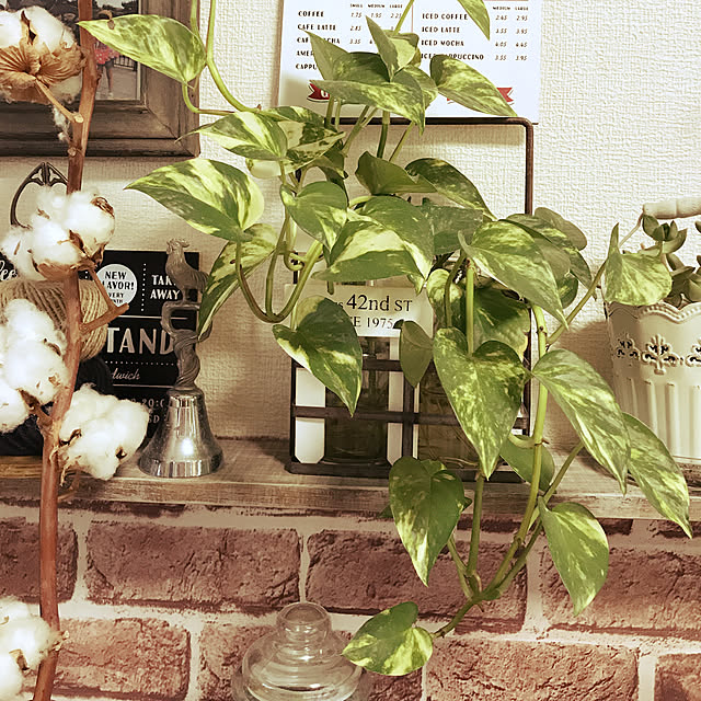 chizuruさんの実例写真