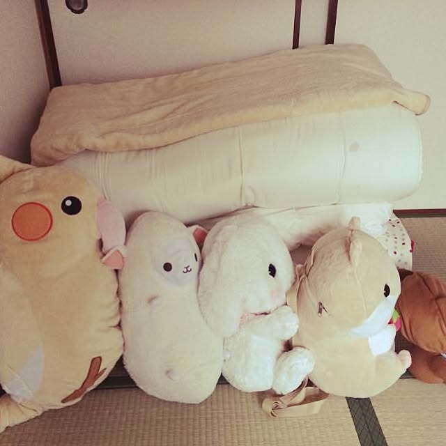 Fujiさんの実例写真