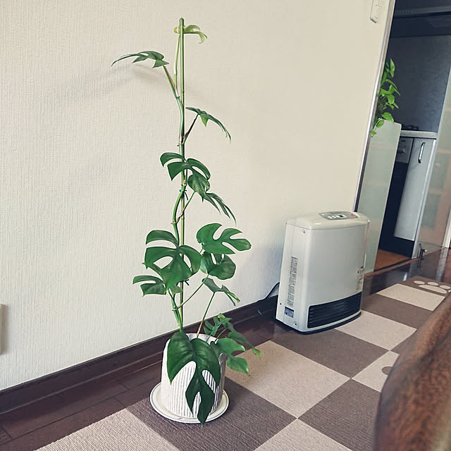 hopkeiさんの実例写真