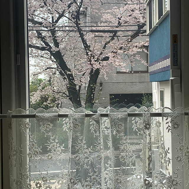 masakoさんの部屋