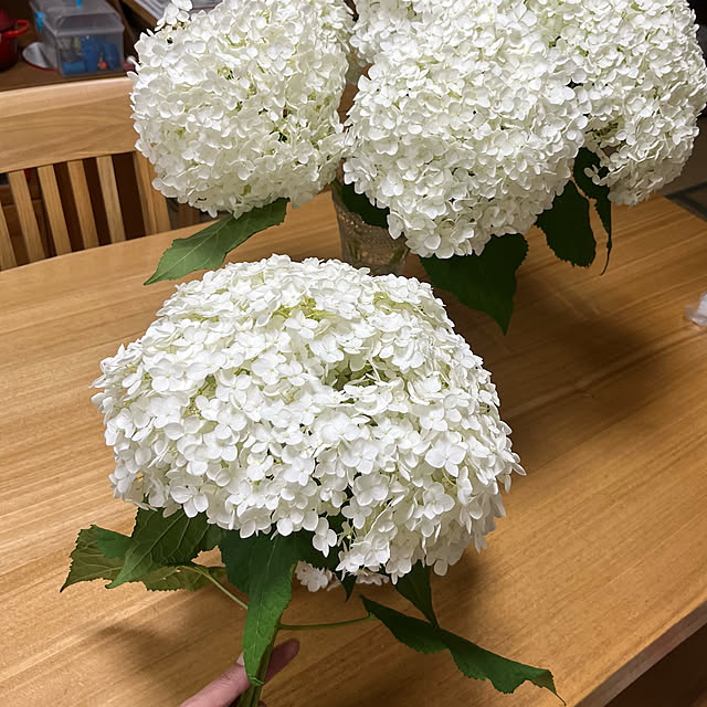 sho-takeさんの実例写真