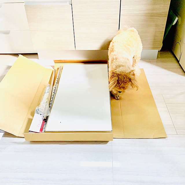 ikt.tamaさんの実例写真
