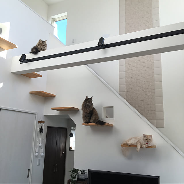 takiさんの実例写真