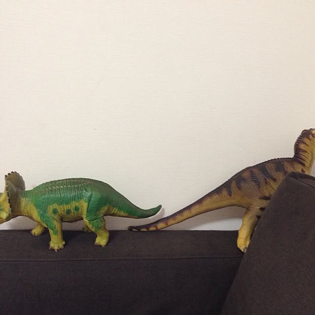 komichiさんの実例写真