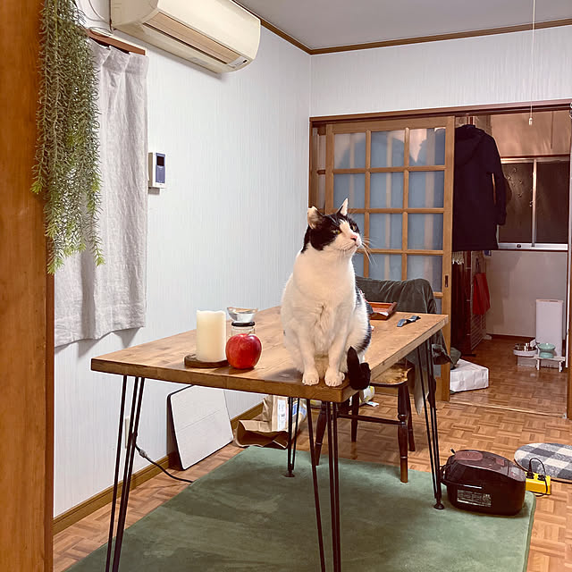 karuさんの実例写真