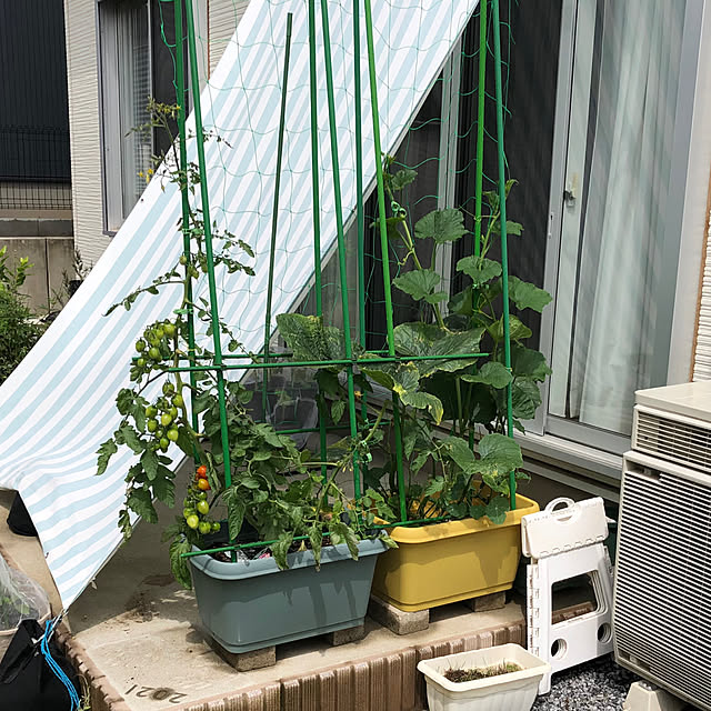 pinkflower_Potagerさんの実例写真