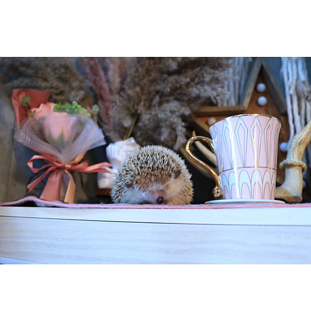 Chikakoさんの部屋