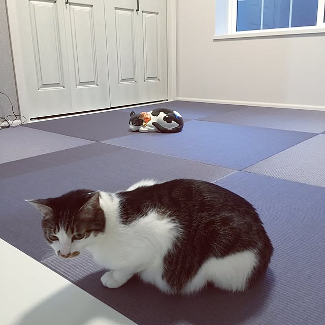 yuchiさんの実例写真
