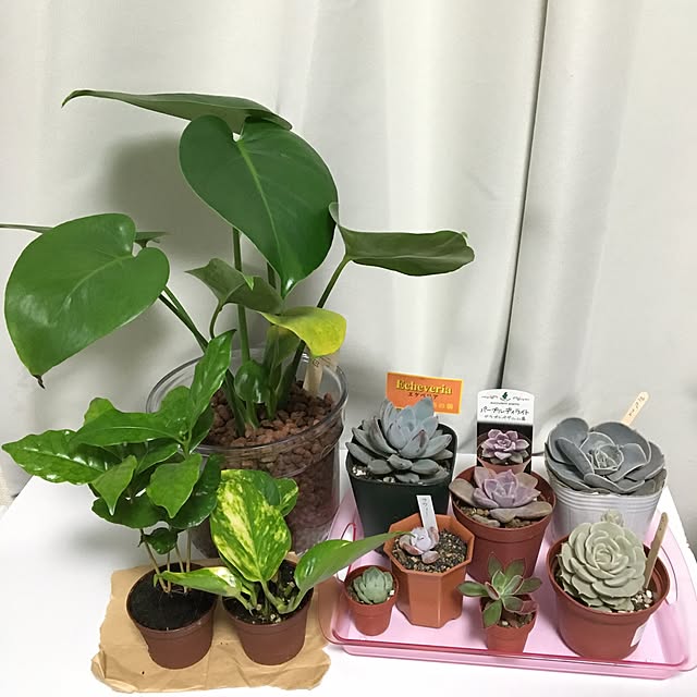 rk5kuuさんの実例写真