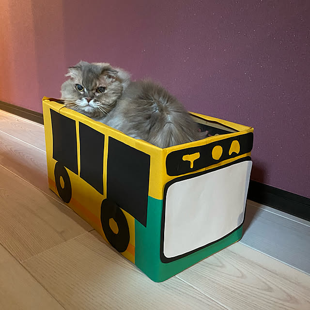 Mahoさんの実例写真