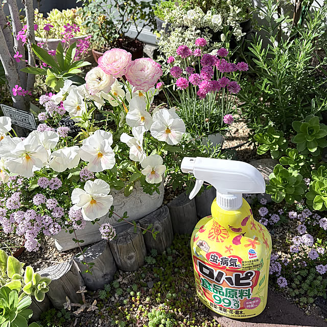 chipsさんの実例写真