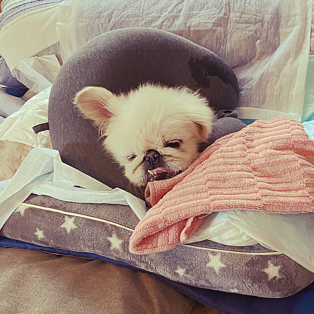 cherryさんの実例写真