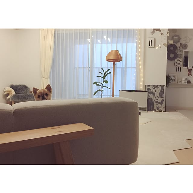 haruhinaさんの実例写真