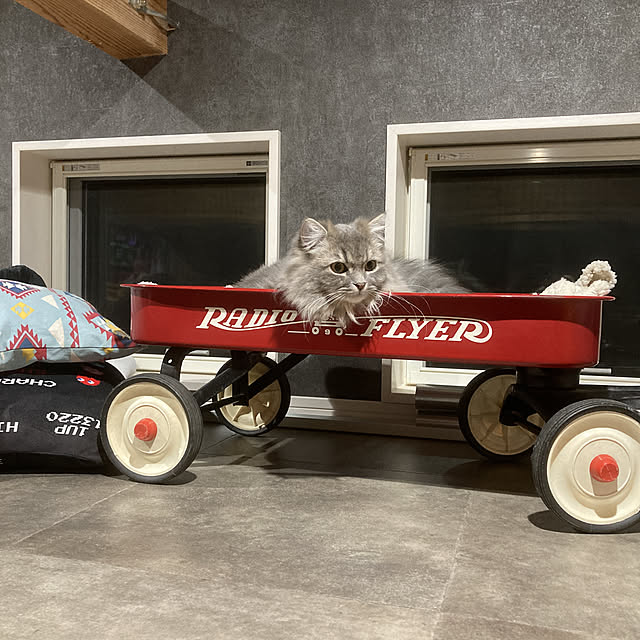 r.t.mamaさんの実例写真