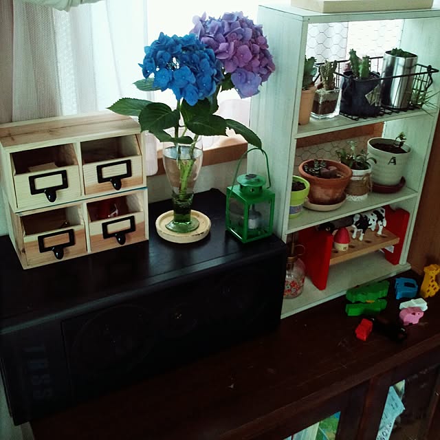 asa0521さんの実例写真