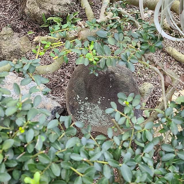 Rubiconさんの部屋