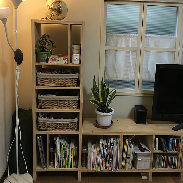 棚/観葉植物/ナチュラル/DIY/NO GREEN NO LIFEのインテリア実例 - 2018-07-28 16:13:16
