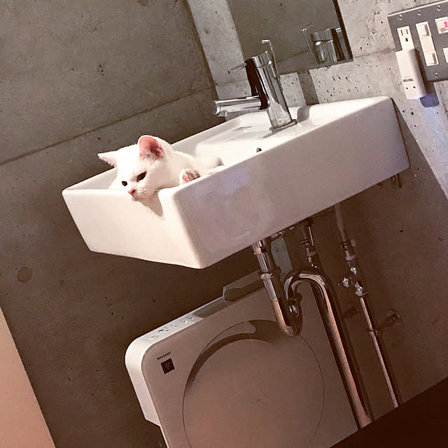 rayjyuさんの実例写真
