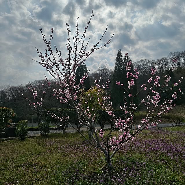 Rubiconさんの部屋