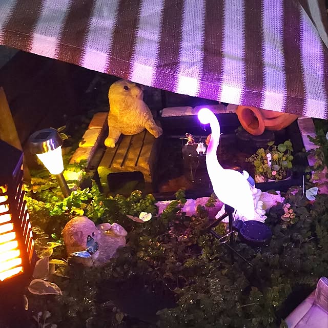 saayaさんの部屋
