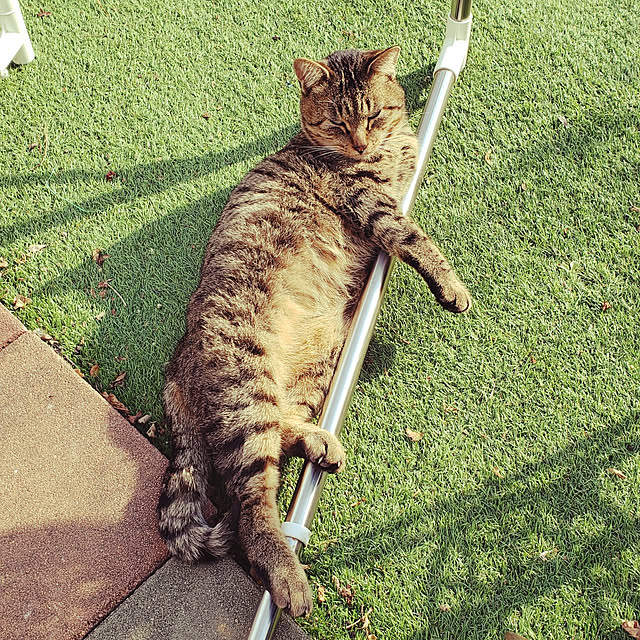 J.BOYさんの実例写真