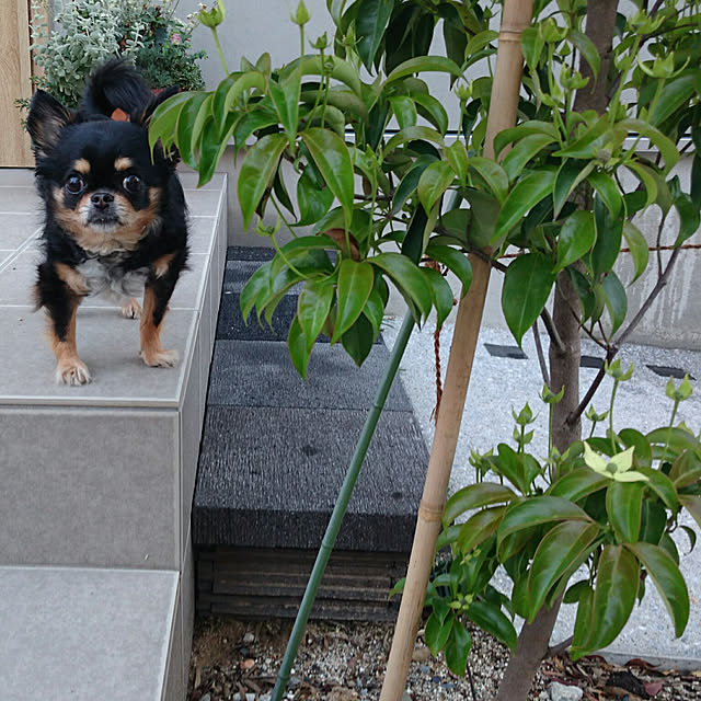 tomoさんの実例写真