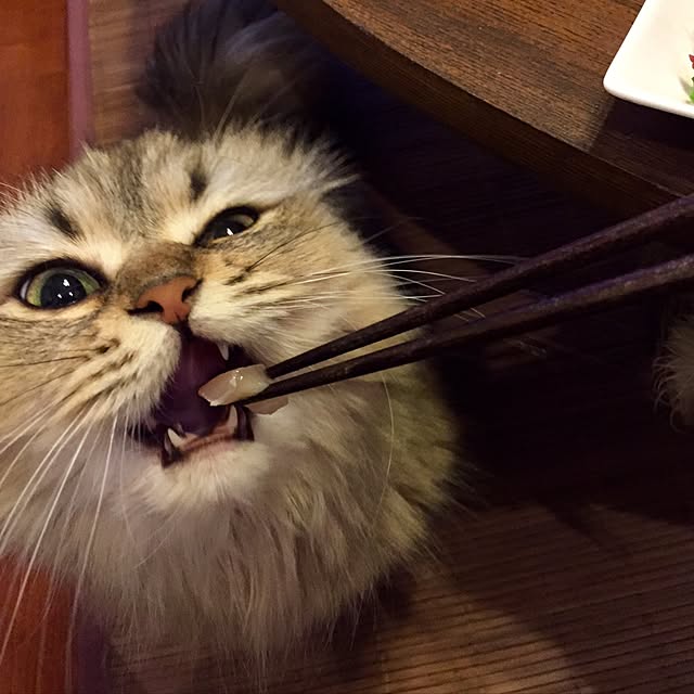 butachanさんの実例写真
