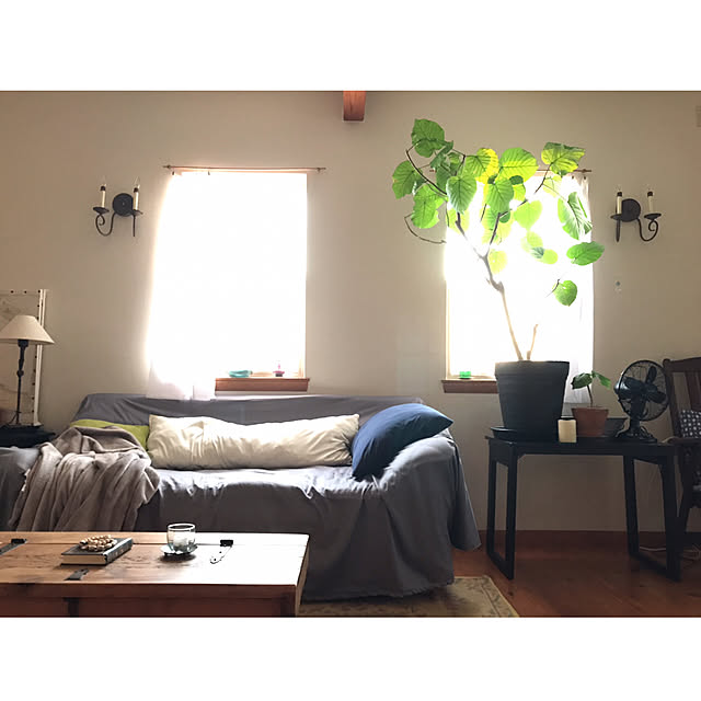 kinu-itoさんの実例写真