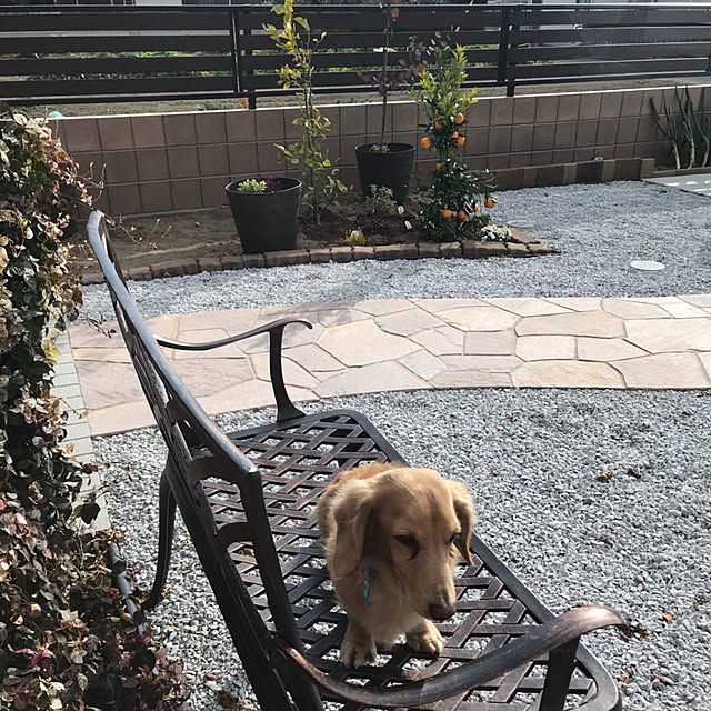 ronronさんの部屋
