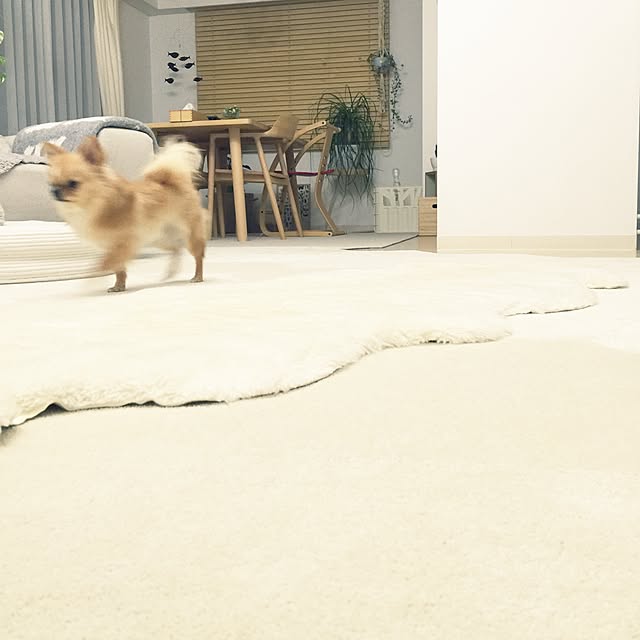 haruhinaさんの実例写真