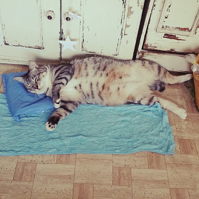 annさんの実例写真