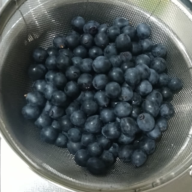 Rieさんの実例写真