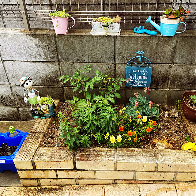 maronchanさんの実例写真