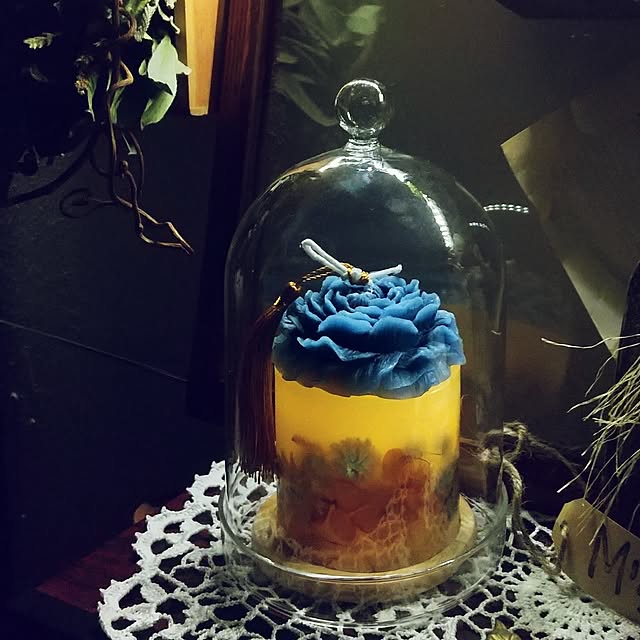 koyutan-mjmさんの部屋