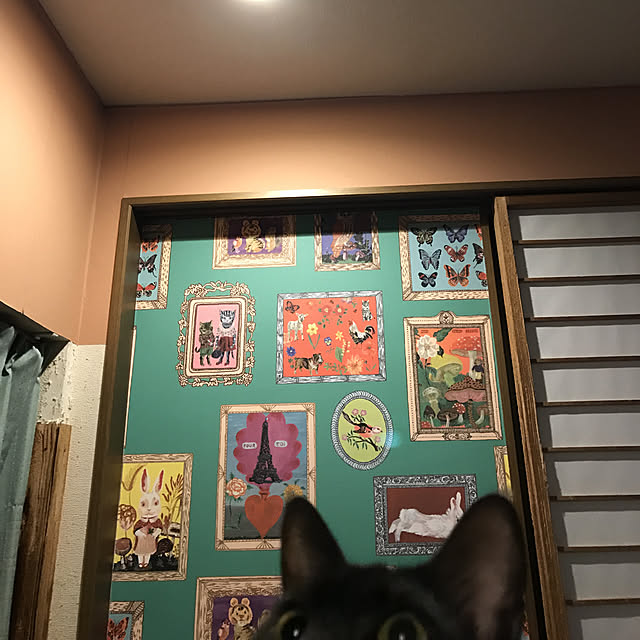 miseiさんの実例写真