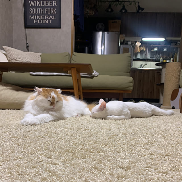 keiさんの実例写真